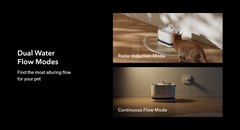 Dockstream Cordless Fountain