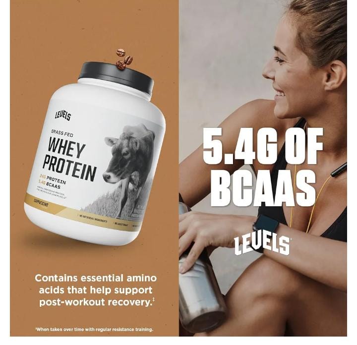 Nutrition Whey Protein Powder