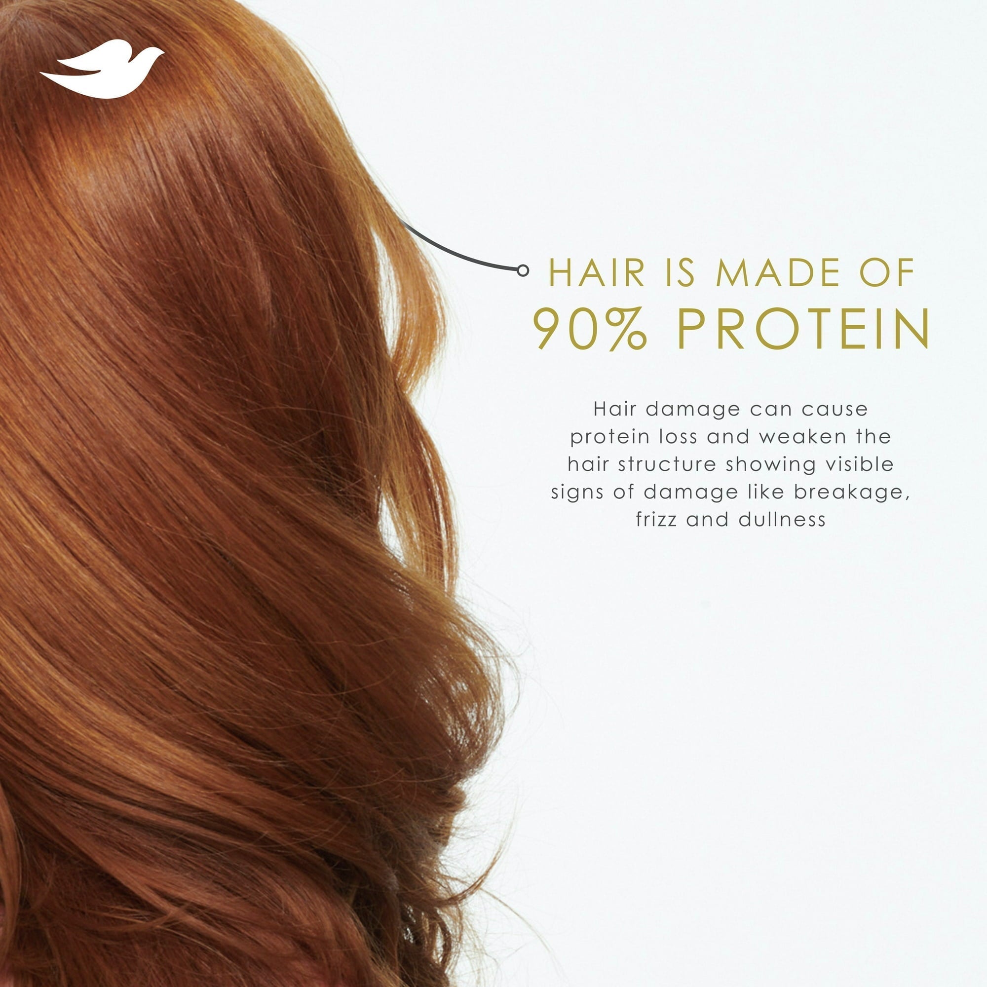 Dove Shampoo for Women Intensive Repair with Bio-Protein Care Technology and Amino Serum, 28 oz