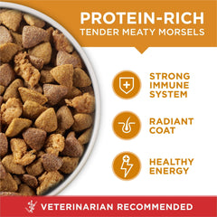 Purina One Dry Dog Food for Adult Dogs High Protein, Real Chicken & Rice, 16.5 lb Bag